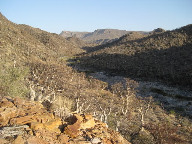 Volcan2011158_5b16a4d2747774ac6696ba29d3065bf326fcf695.jpg