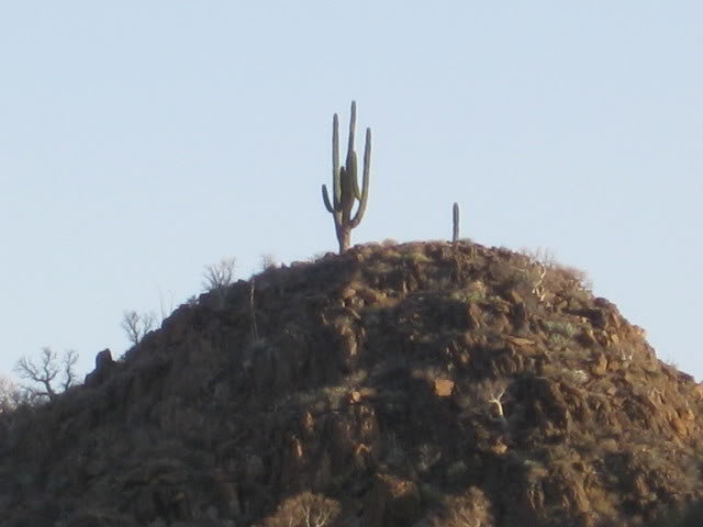 Volcan2011169_a375b43175cd9fc3cfa4c381c938e2c97d62d949.jpg
