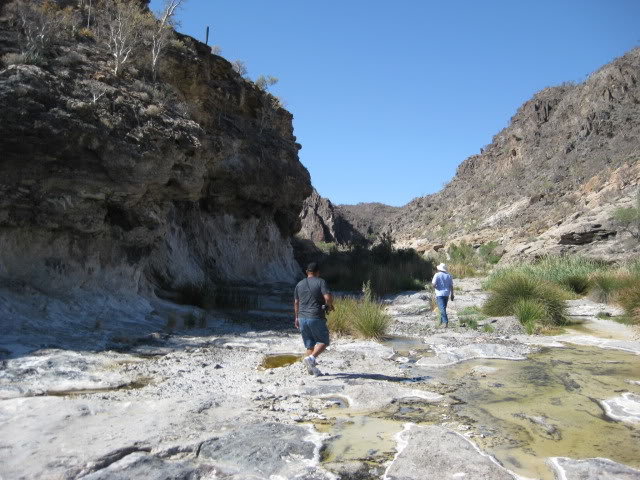 Volcan2011183_cd67891ad74b2e65c4bf5c902a7182249e82f91d.jpg