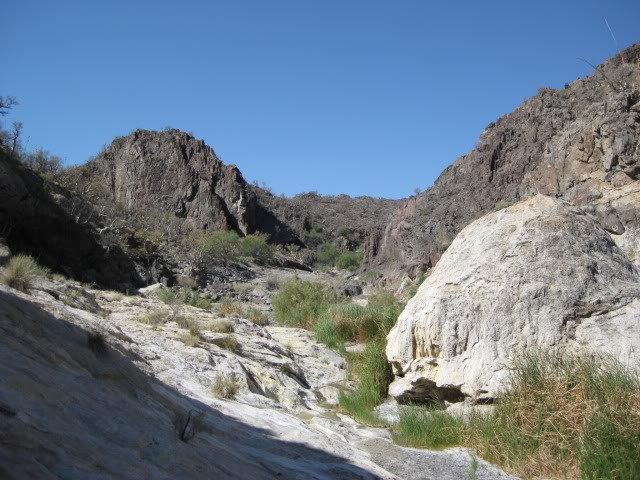 Volcan2011196_5b6b7917b3db96850a05d810a181cdb52a99937c.jpg