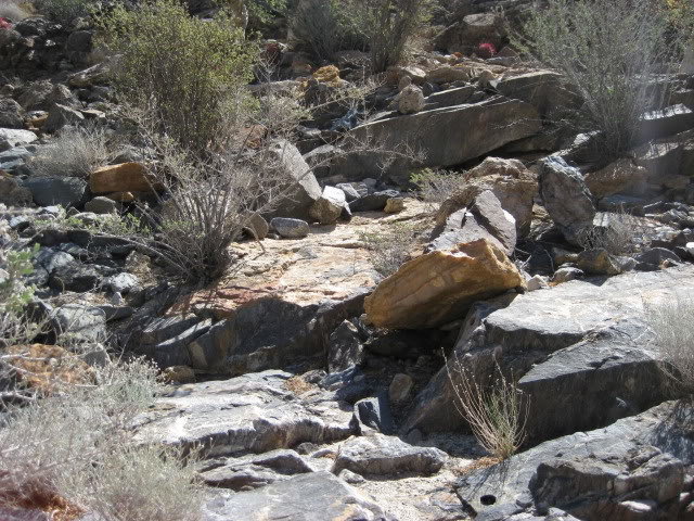 Volcan2011204_6a189a41de4a0eee1891568956b1c8488aea073b.jpg