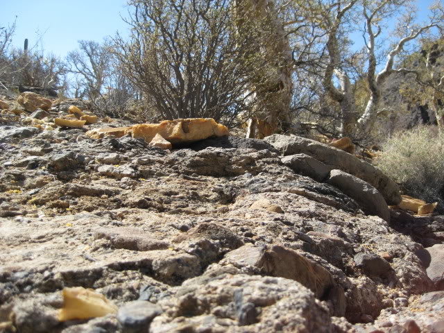 Volcan2011206_5317afb117ec8aa4d0125ad54395717924270c47.jpg