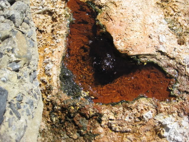 Volcan2011216_c8ac70ff08b1121e410b08ddbcada45ba5c89740.jpg
