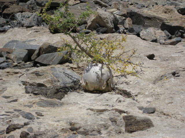 Volcan2011221_8154498b55e79223bd22e50ccfcd144db5dae8c1.jpg