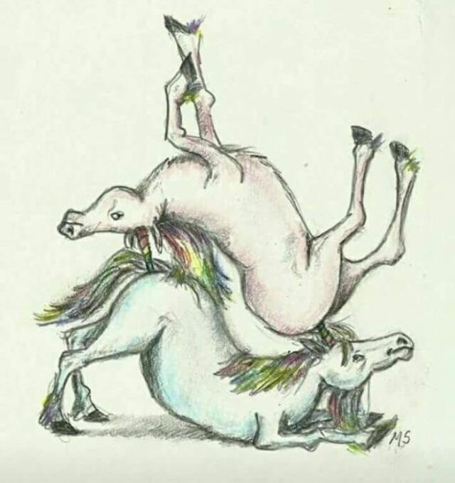 vq6zg8hqlxj01.jpg