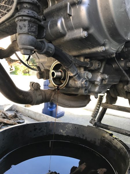 vstrom oil.jpg