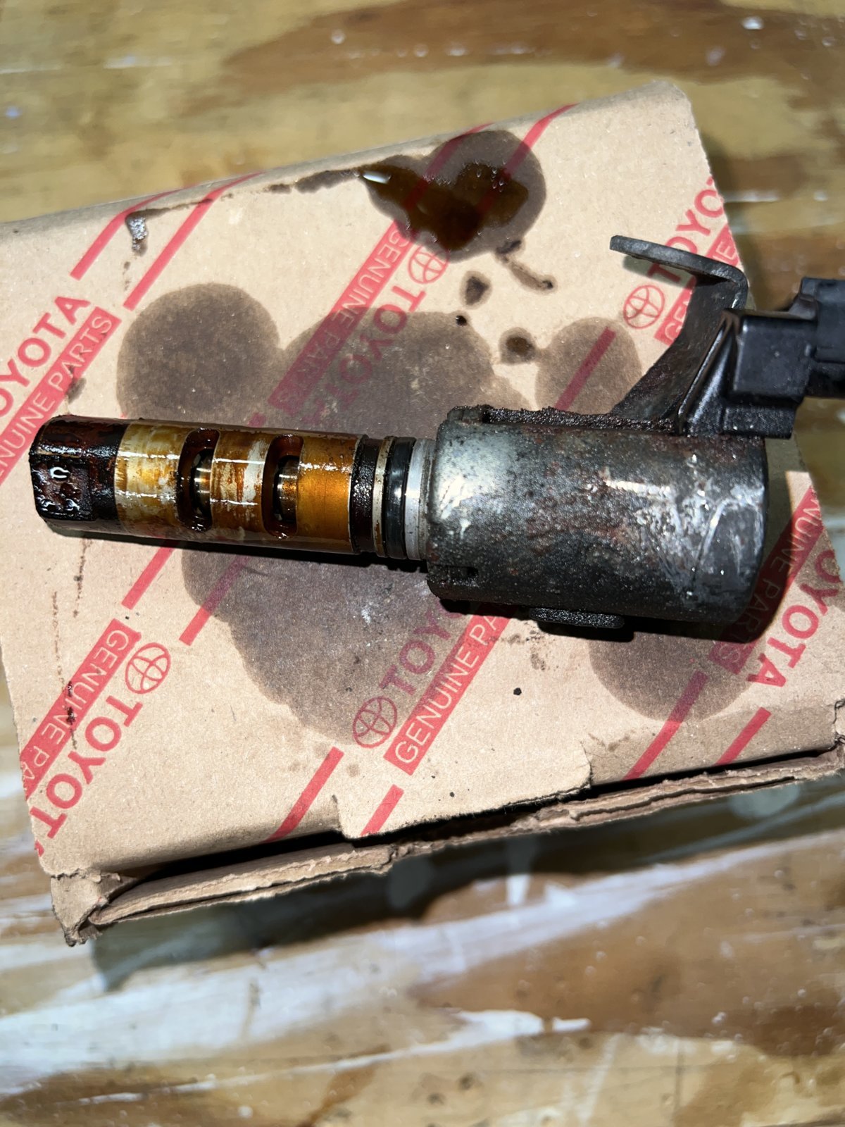 VVT 1.jpg