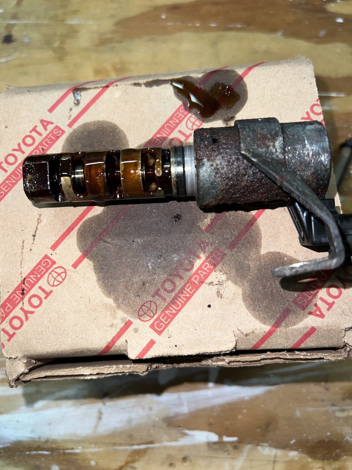 VVT 2.jpg