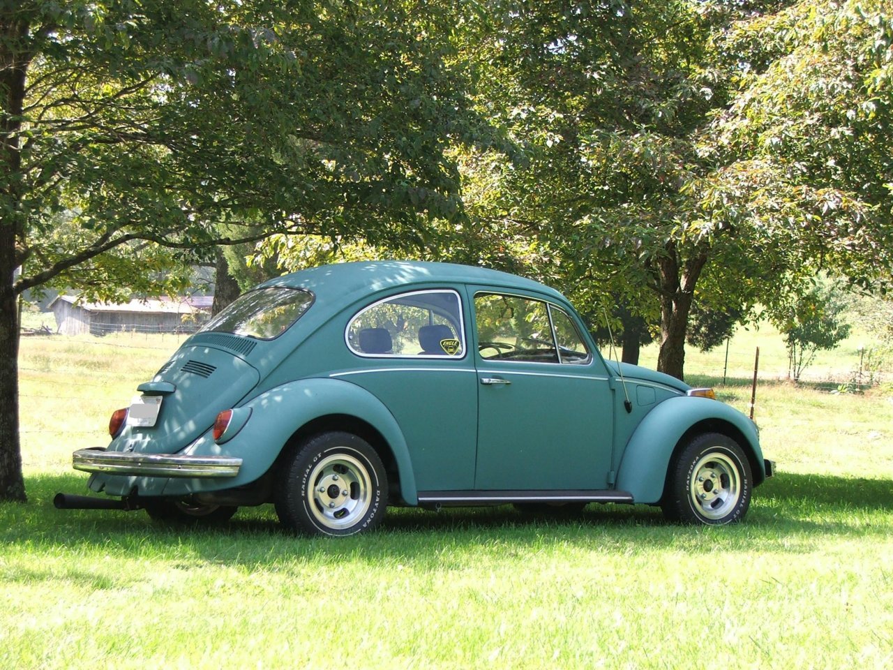 VW 004.jpg