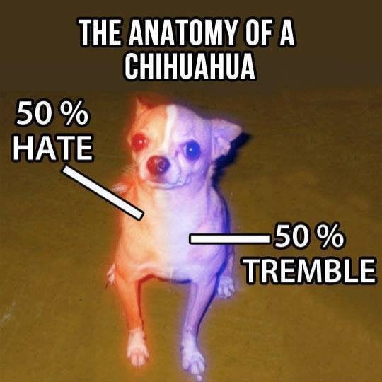 vx9QLfWR04kkwc2sXbYwLcXhNE3_yXpUENUB8C2UvkM.jpg