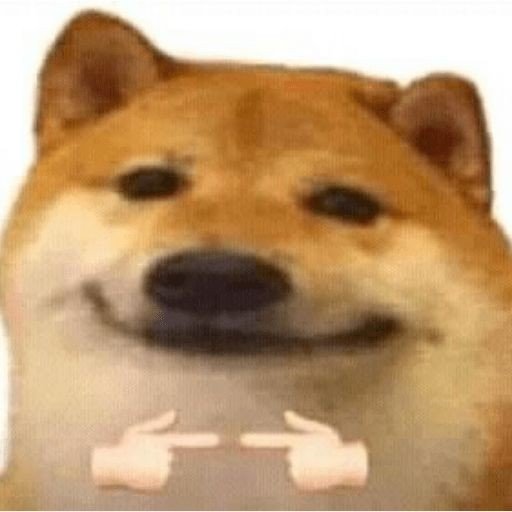 w0lhqr3swsz71.jpg