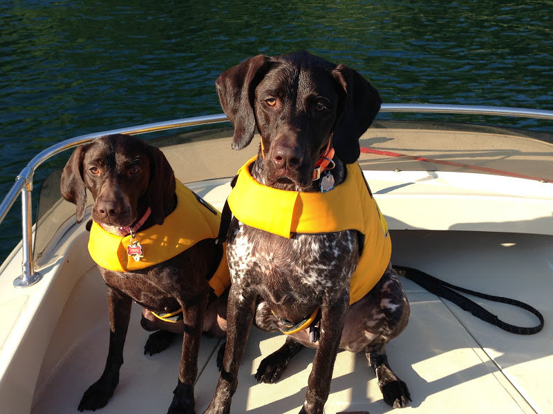 Waggin%2527%2520Whaler%2520Wednesday_b86e7b54b71a30c2324b2089f4ce0df4620e7c1b.jpg