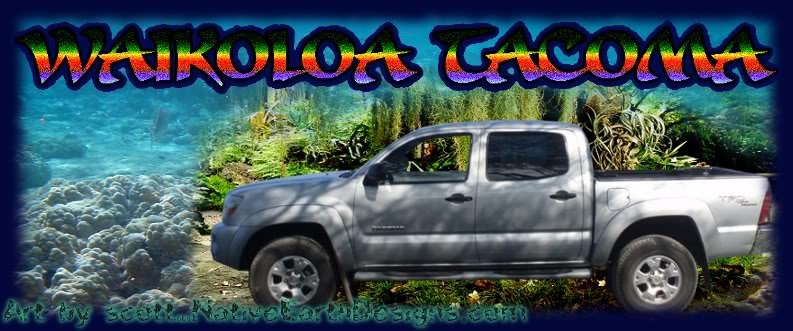WaikoloaTacoma_d23844f59bce354a40d03784c3526b2411bdbb68.jpg