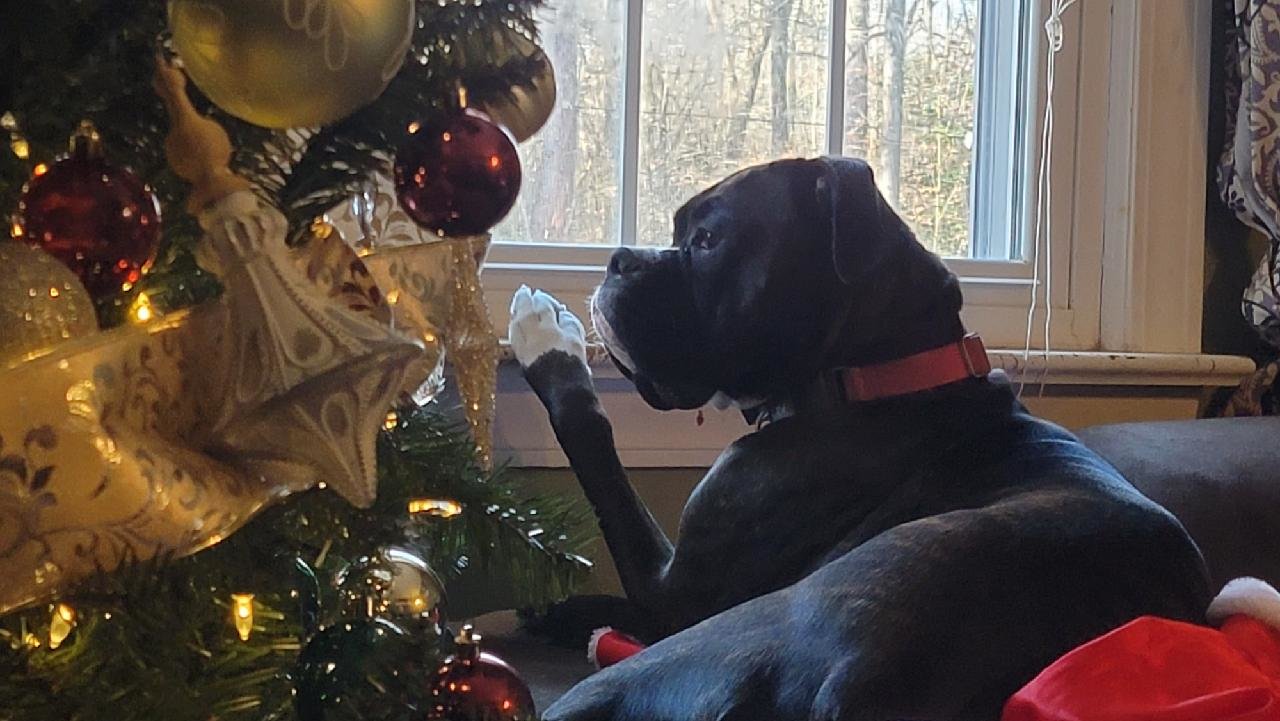 Waiting for Santa.jpg