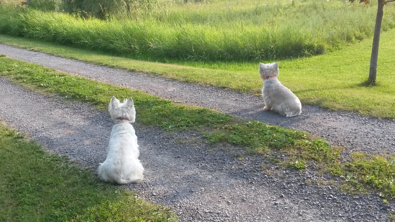 waiting.jpg