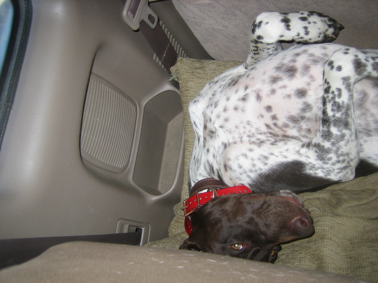 Wake me when we're there.jpg