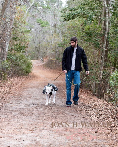 walk1.jpg