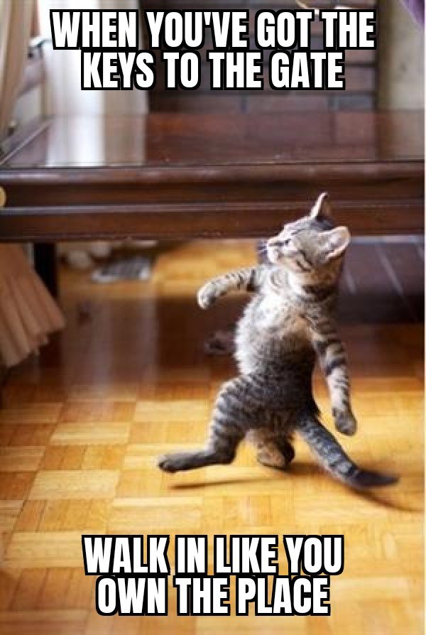 walkincat.jpg