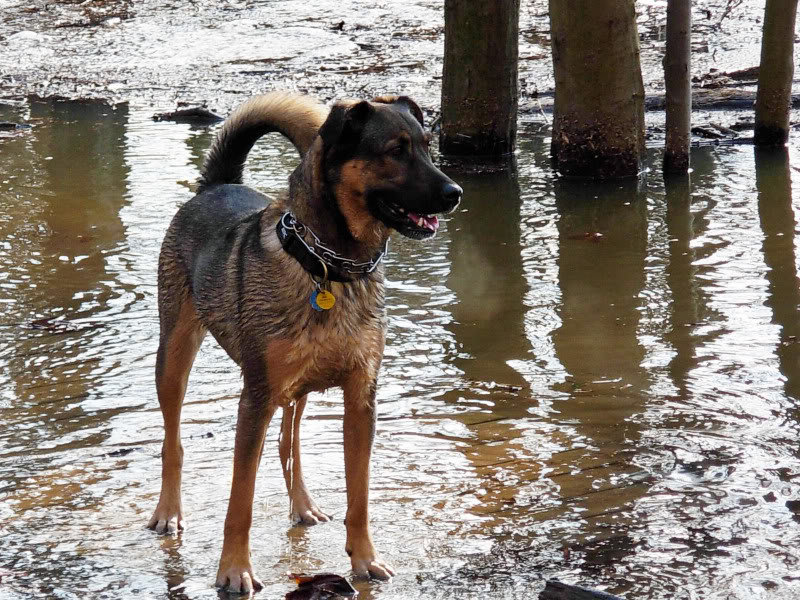 Walkingonwater_f468f9ca045380e198b6db9cb55a06f89d73b41c.jpg