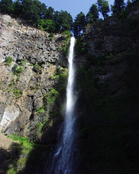 WallaceID 024.jpg