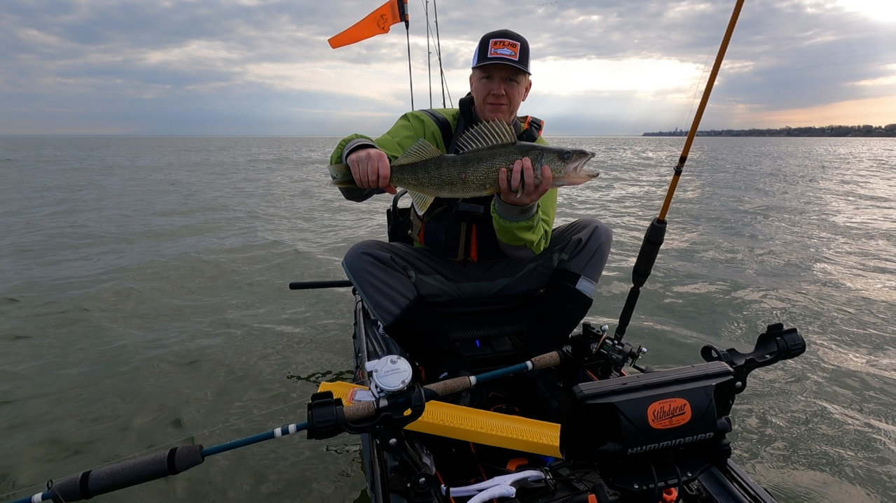 Walleye1.jpg