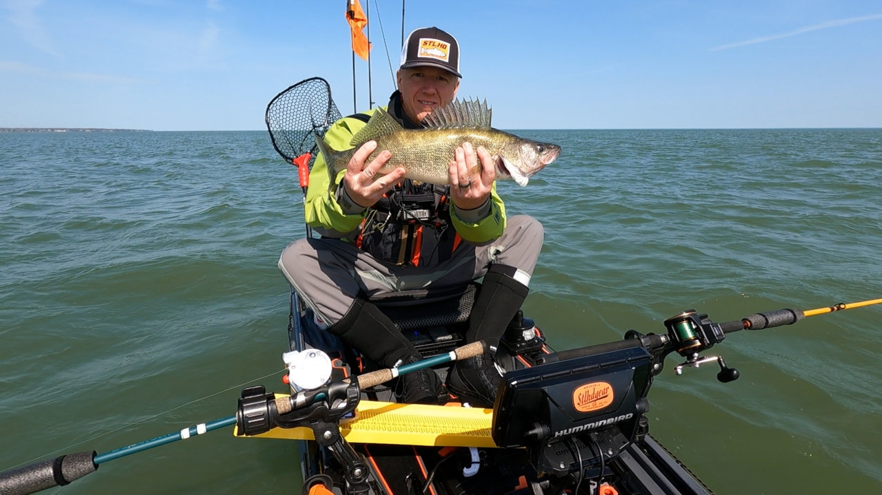 walleye4.jpg