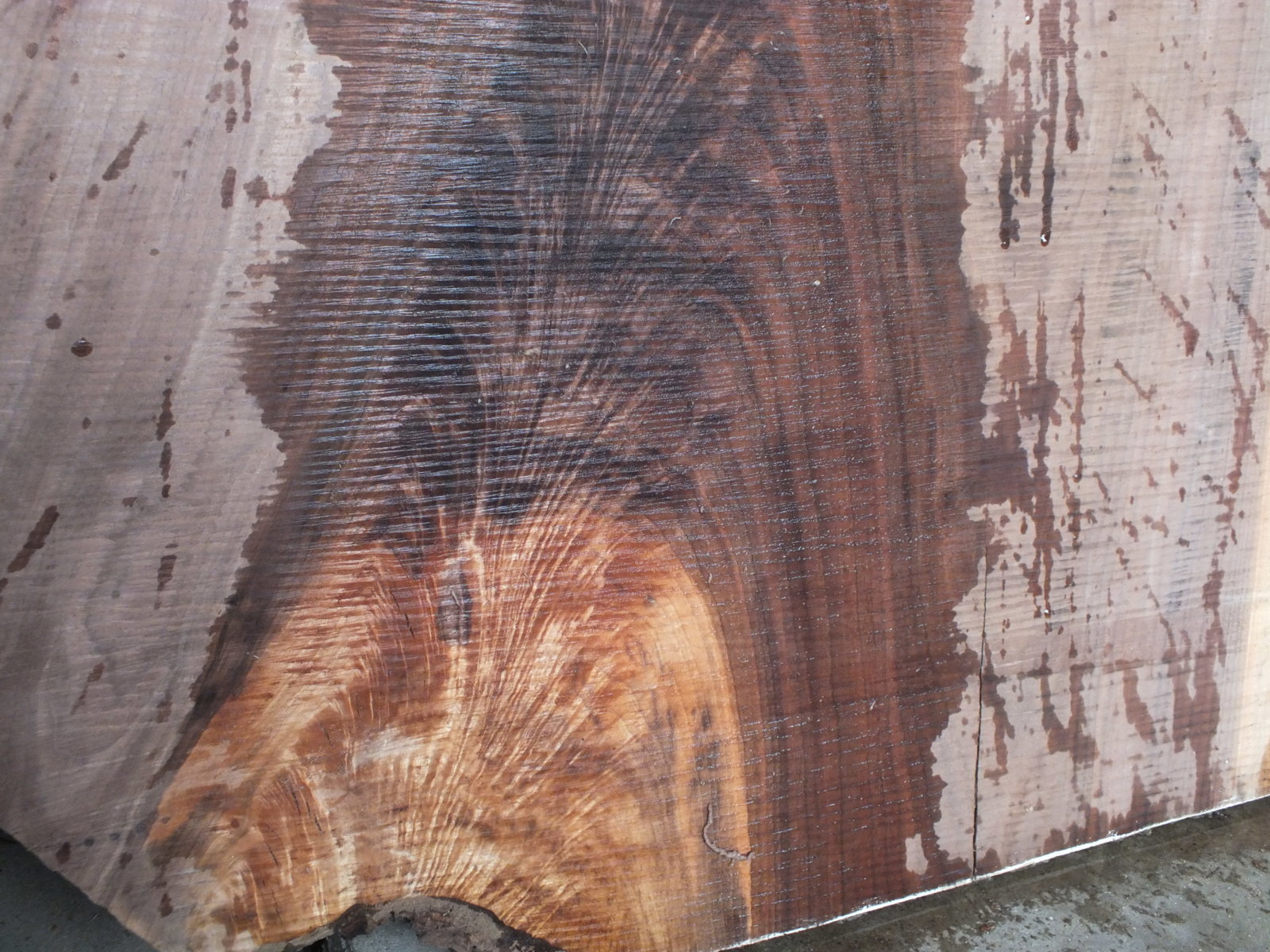 walnut 006.jpg
