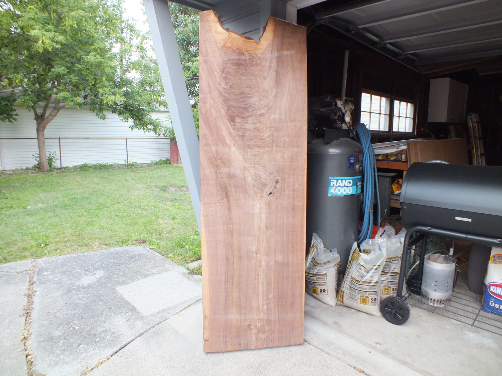 walnut 2 003.jpg