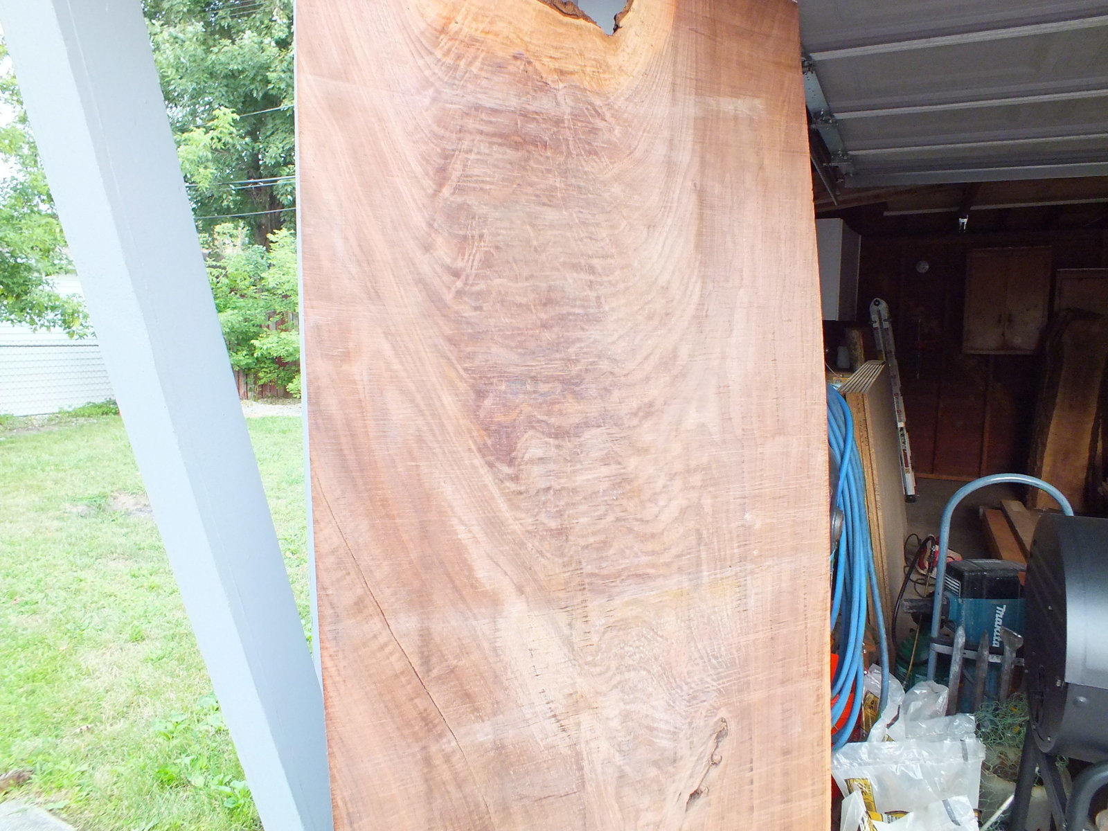 walnut 2 004.jpg