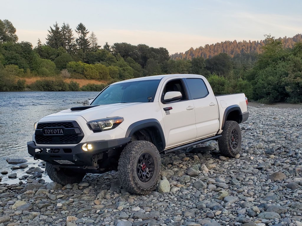 Walter at the river.jpg