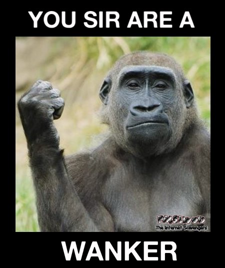 wanker.jpg