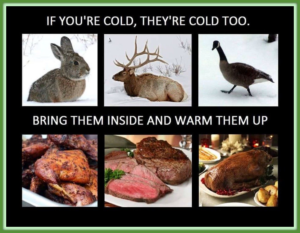 Warm-and-Cold-Animals.jpg