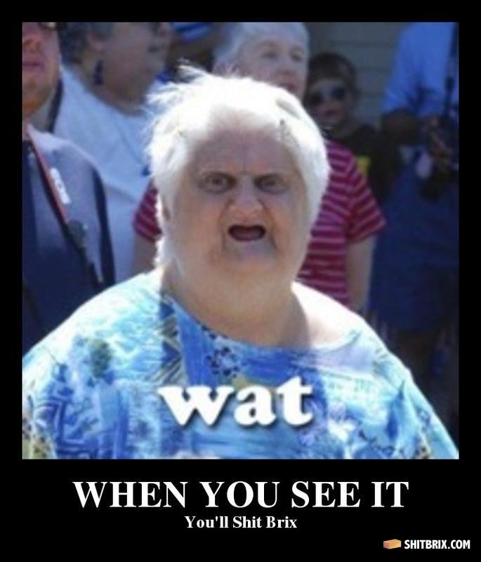 wat-when-you-see-it-you-ll-shit-brix-840891.jpg