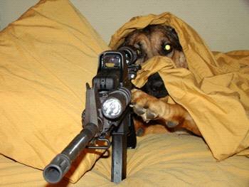 Watch Dog2.jpg