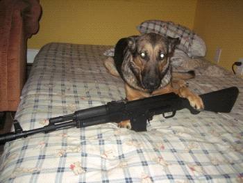 Watch Dog3.jpg