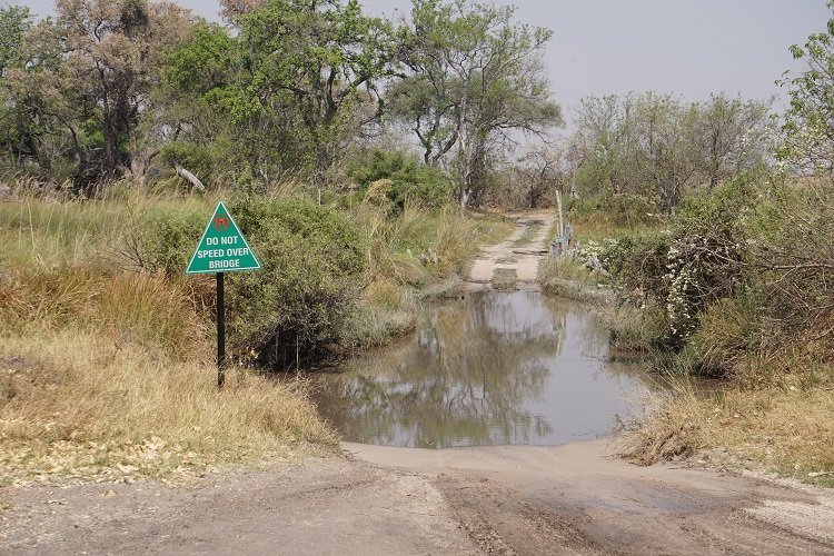 water crossing low res.jpg