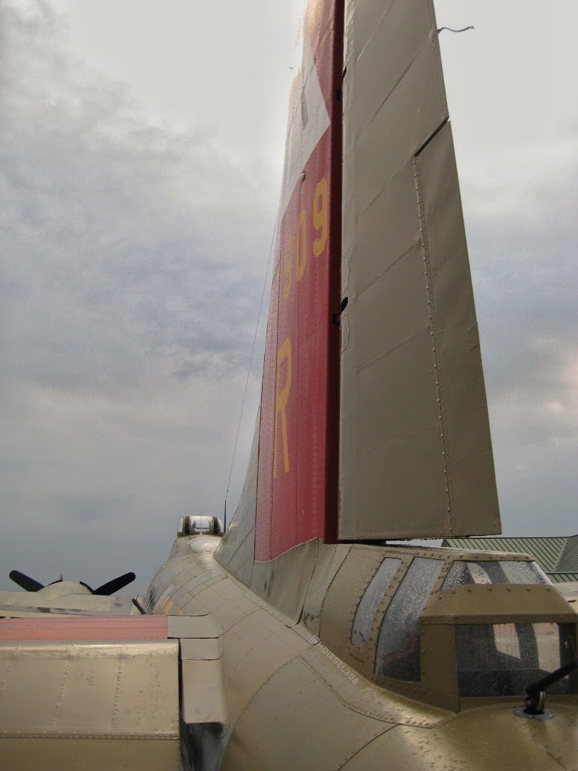 Watermarked9(2016-10-05-1438).jpg