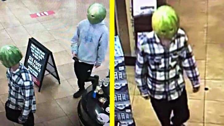 Watermelon-Thief-728x409.jpg