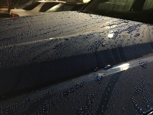 Waxed hood.jpg