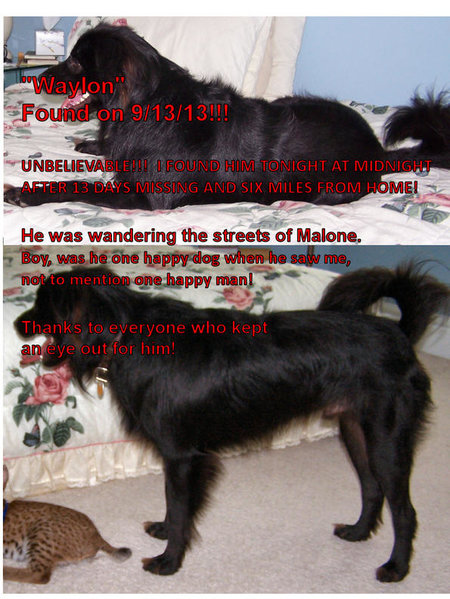 Waylon Flyer Found.jpg