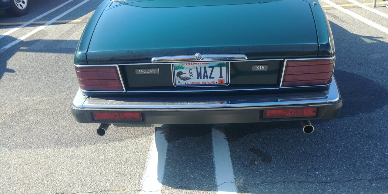 waz.jpg