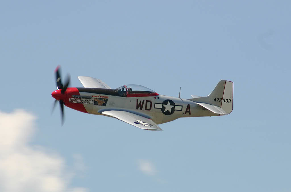 WD-A_05e02ba02fbf27f8e6fbf62cccb70a841b1dbcca.jpg