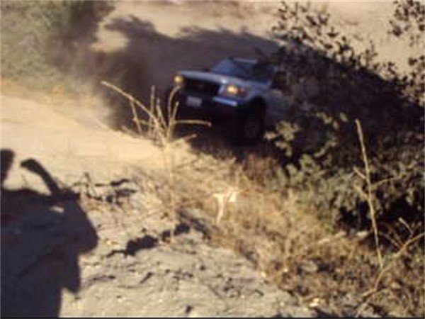 Web MOV01022 001_0004.jpg
