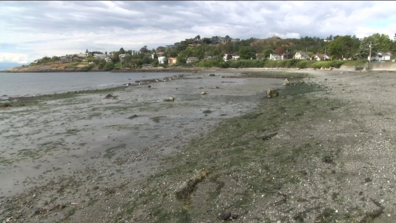 WEB-RAGHEM-LOW-TIDE.jpg