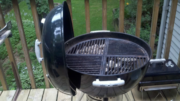 weberlidholder cast iron grate.jpg