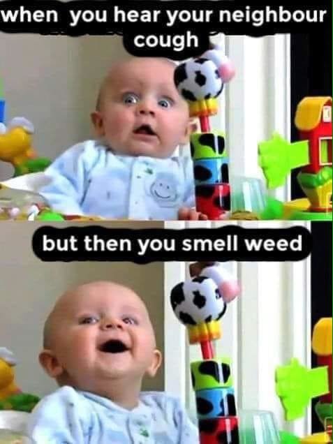 weed.jpg