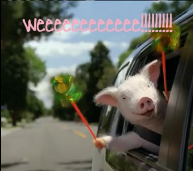 weeee_pig.jpg
