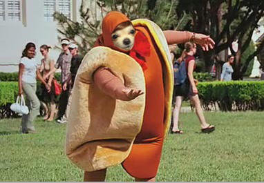 weiner copy.jpg