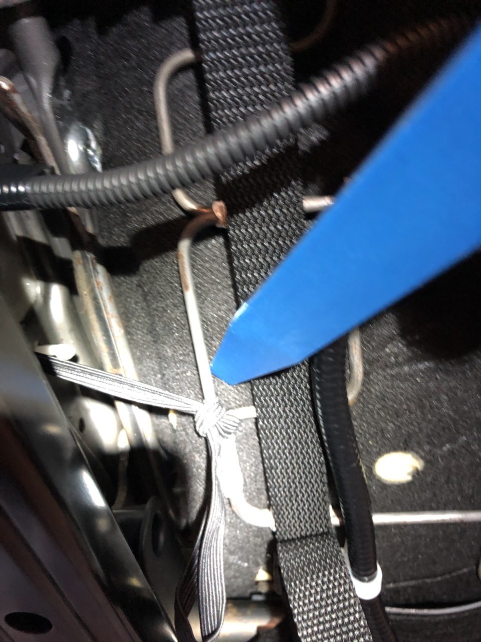 weird bungee connected.jpg