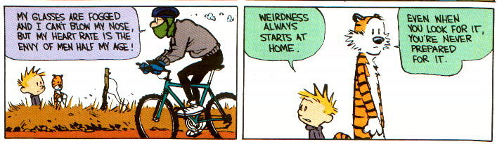 weird.jpg